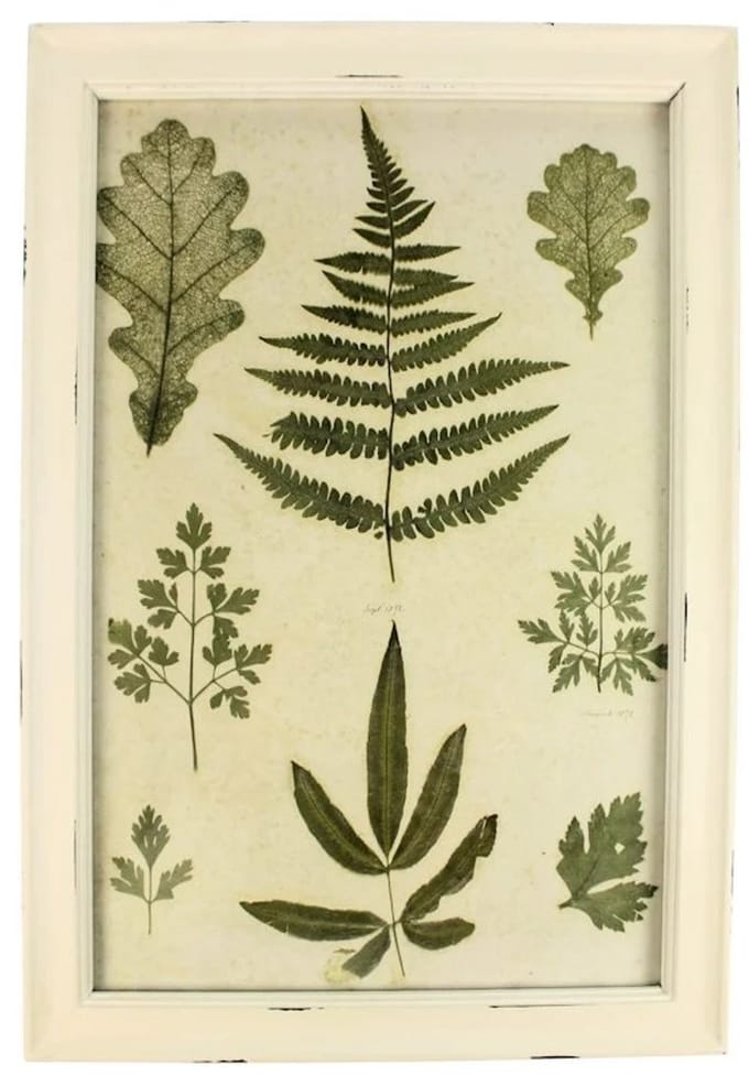 Lijstje hout wit Varen, 34x23,5cm