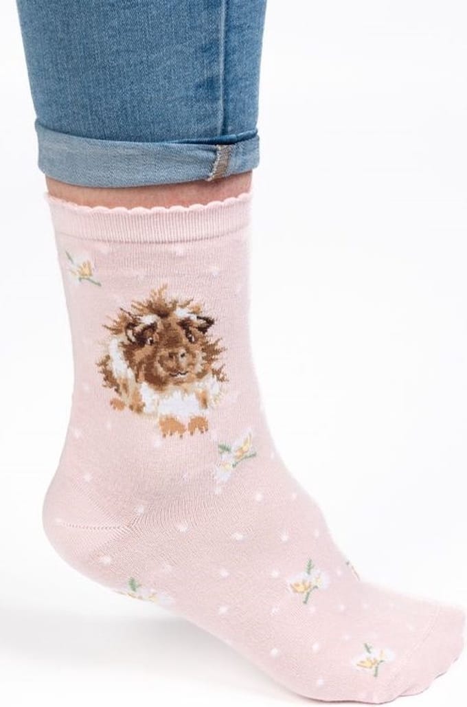 Wrendale Sokken - Cavia - 'Grinny Pig' Guinea Pig Socks