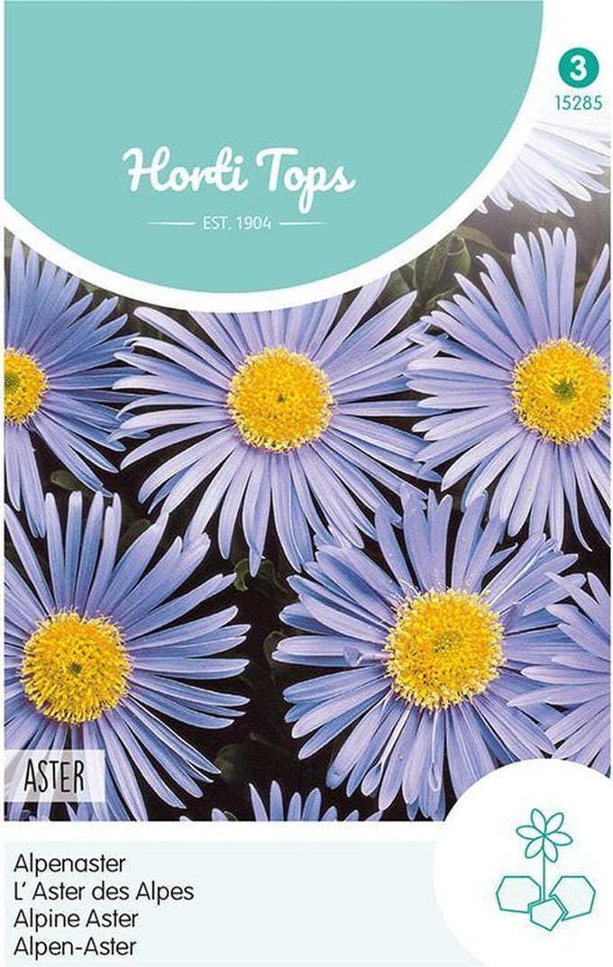 Aster Bloemzaad -  Alpinus - Lichtblauw