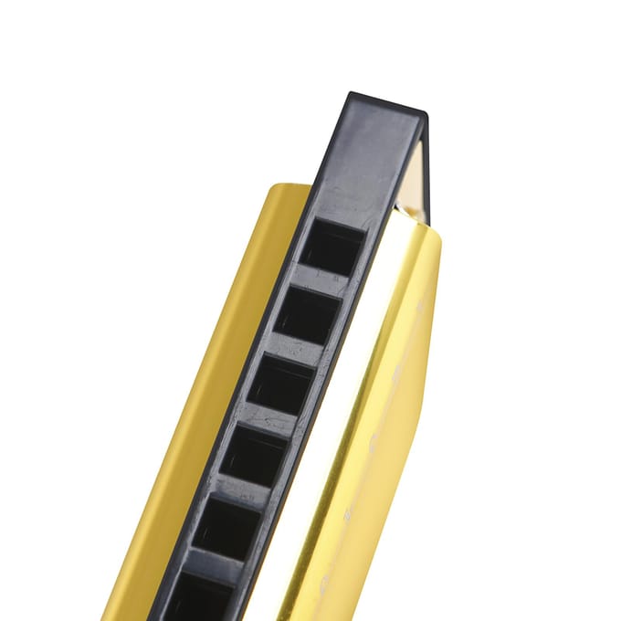 IRIN 10-gats Mondharmonica Toonsoort C 20 Ton Muzikaal Cadeau met Opbergkoffer voor Beginner Student geel