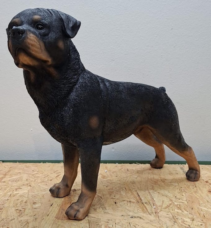 Realistisch Rottweiler Hondenbeeld - 40 cm Lang - Handgeschilderd Polystone - Binnen & Buiten