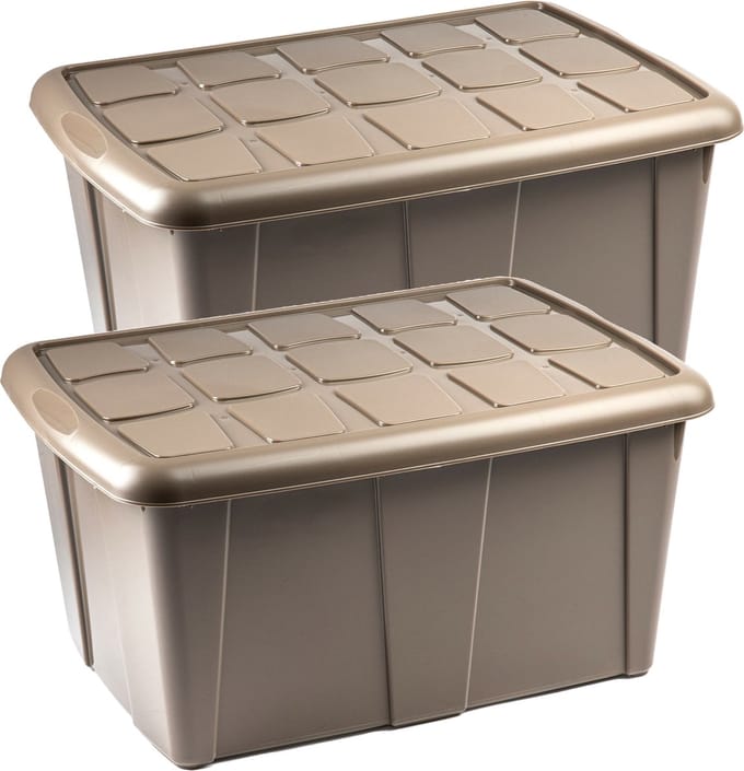 Plasticforte Opbergbox met deksel - 2x - Beige - 60L - kunststof - 63 x 46 x 32 cm