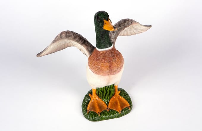 Klapperende wilde Eend