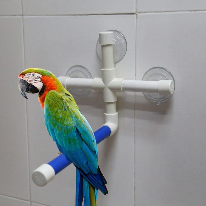 Vogel Zitstokken Papegaai Parkiet Opvouwbaar Zuignap Raam Douche Bad Muur Poot Slijpstandaard Speelgoed white