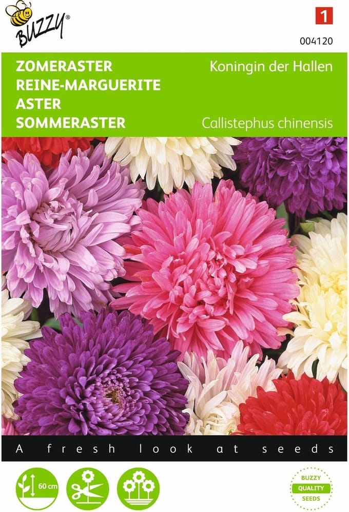 2 stuks Callistephus, Zomeraster Koningin der Hallen gemengd