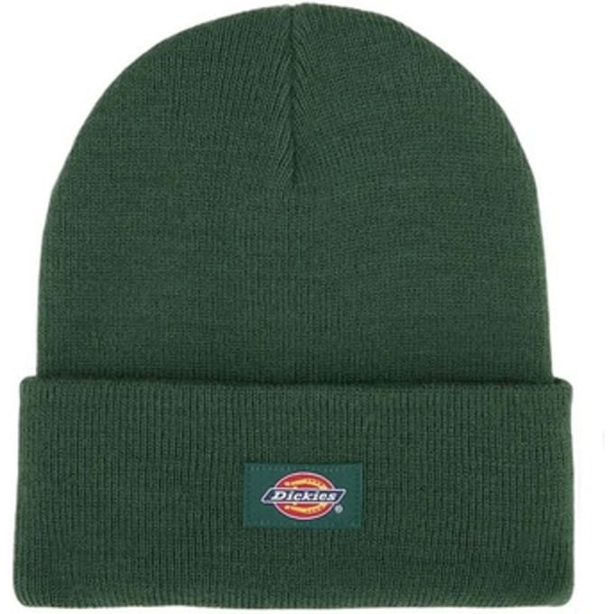 Dickies Gibsland Junior Muts Groen Man