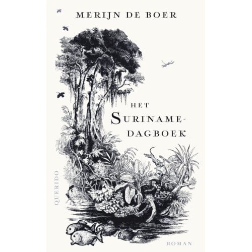 Het Surinamedagboek - Merijn de Boer
