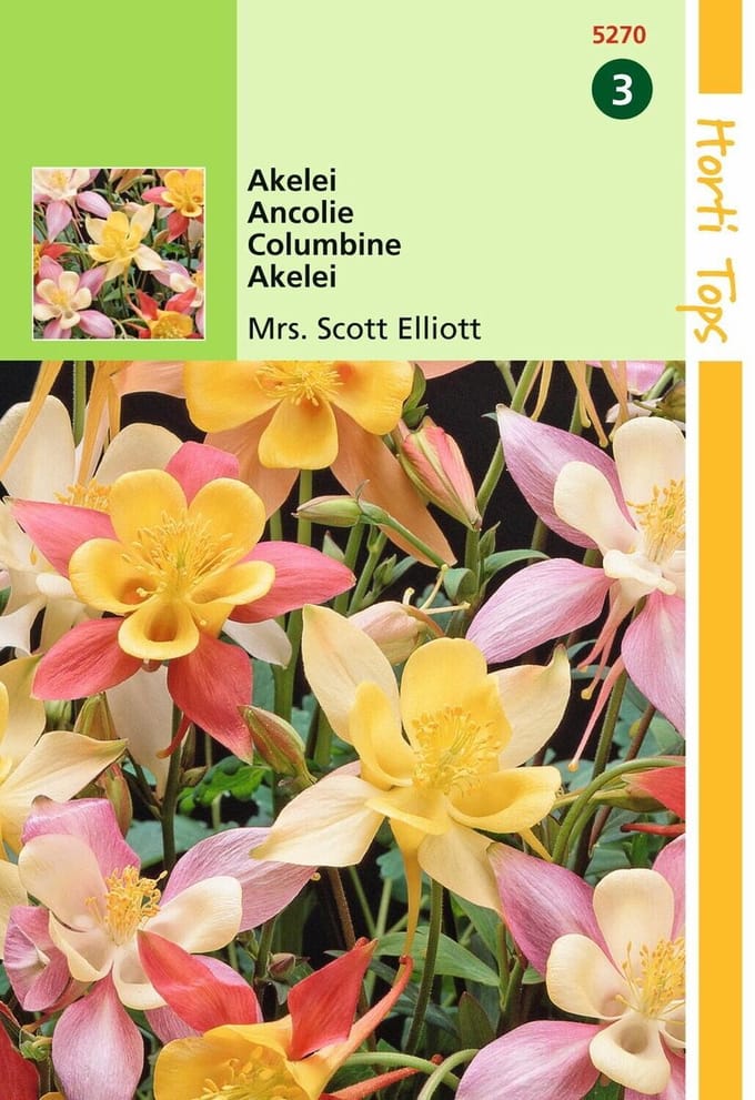 2 stuks - Hortitops - Aquilegia Hybrida Mrs Scott Elliott