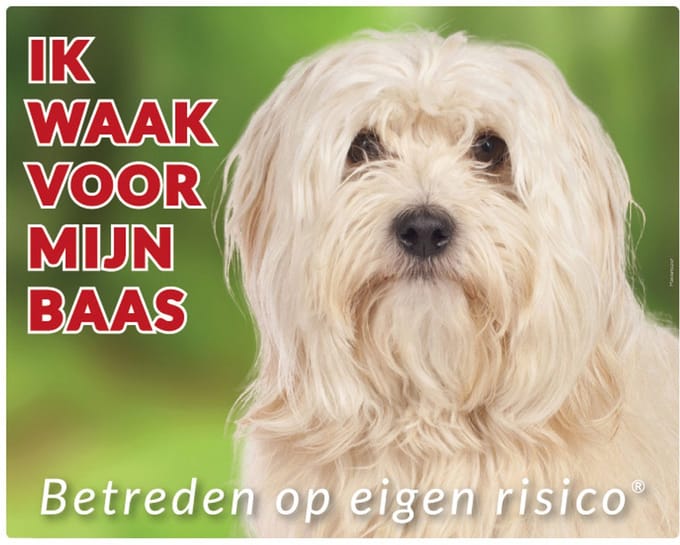 Havanezer Waakbord Blond - Ik waak voor mijn Baas