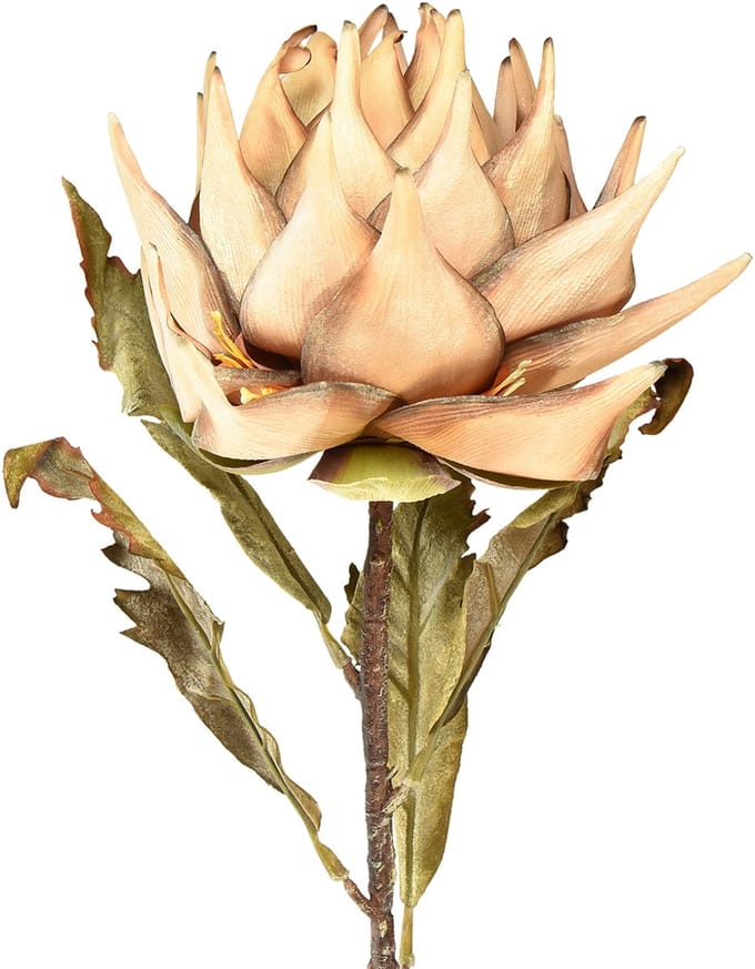 Kunstplant artisjok crème droge look Ø15cm 73cm