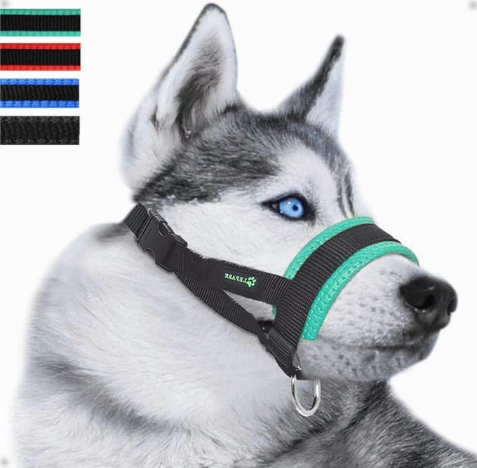 Hondenmuilkorf - Hondenmasker - Voorkomen van Bijten - Verstelbare Pasvorm - Maat M - Groen