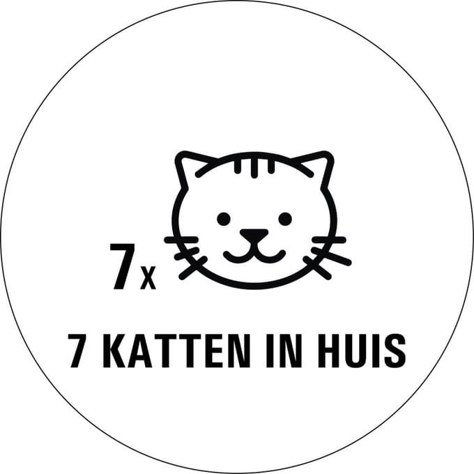 Katten in huis sticker - 80 x 80 mm 7