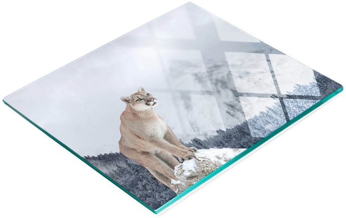 Decoratieve glazen serveerplank met afbeeldingen voor het serveren van snacks Puma 60x52 cm