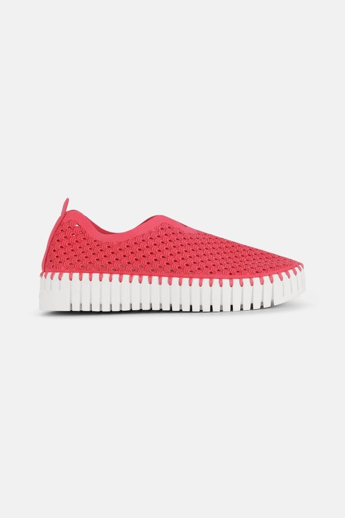 Instappers Platform TULIP3373W witte zool - 309 Viva Magenta
