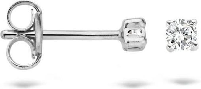 Blush Oorbellen 7138WZI -  Wit Goud (14Krt.) met Zirconia