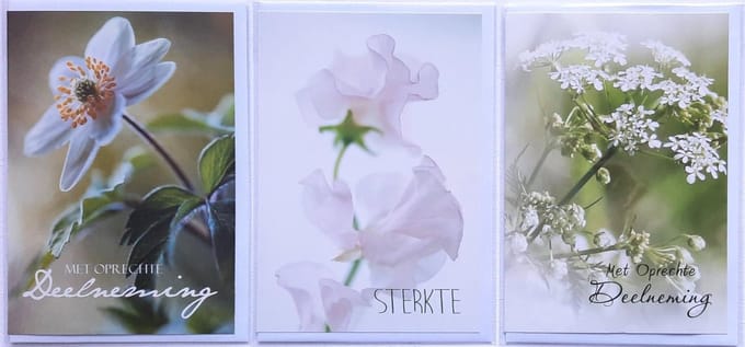 3 Wenskaarten - Sterkte + 2 x Met Oprechte Deelneming - 12 x 17 cm – CON-305