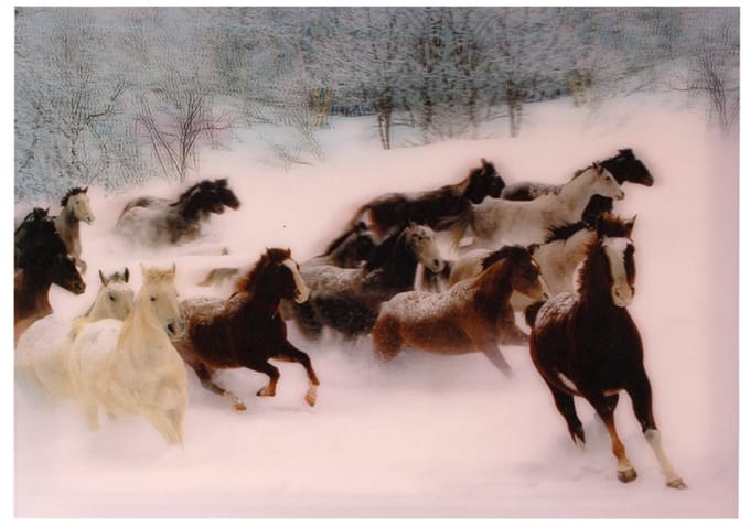 S.Y.W Poster - Paarden Sneeuw - Multicolor