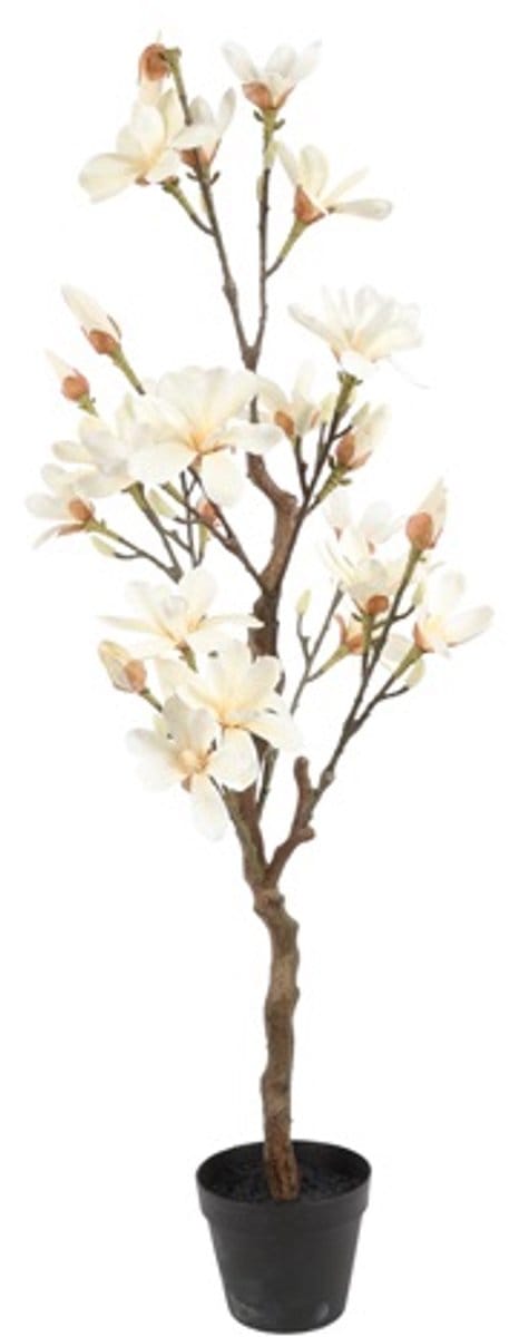 Countryfield Kunstplant Magnolia – Wit – Ø35 cm – Hoogte 110 cm