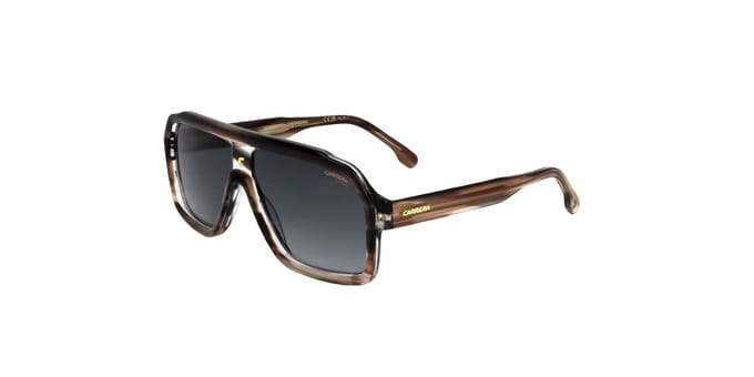 Carrera 1053/S HQZ Zonnebril - Heren - Bruin