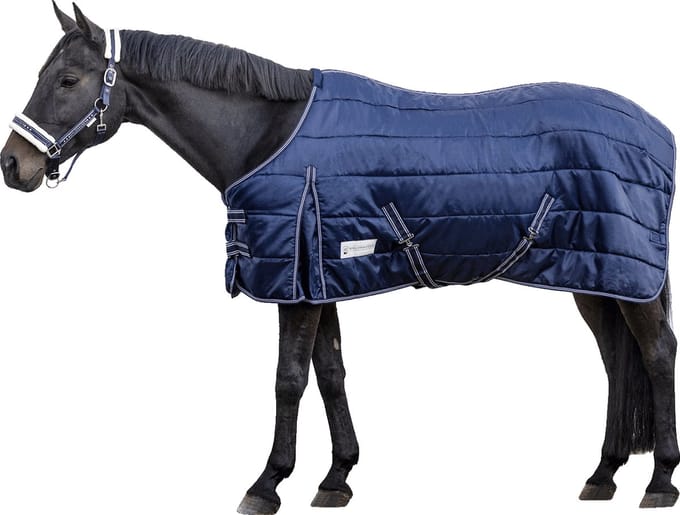 ECONOMIC Stable Rug, 100 G