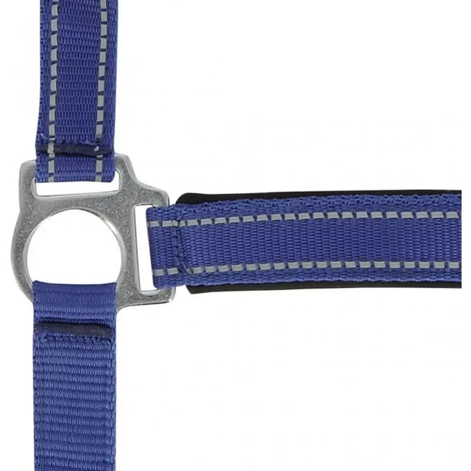 Halster voor paarden Norton Reflective