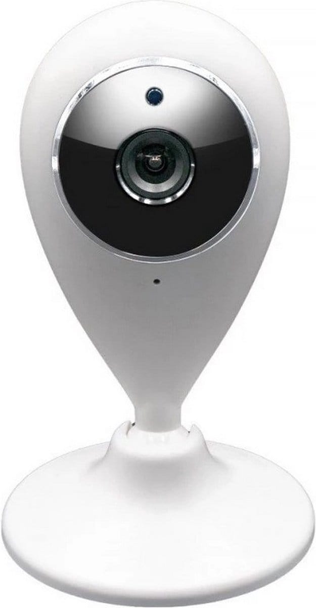 Fontastic 253867 WiFi-IP camera met bewegingsdetectie - nachtzicht - opname op microSD
