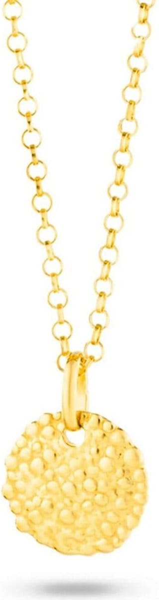 Ketting Radiant RY000028 50 cm
