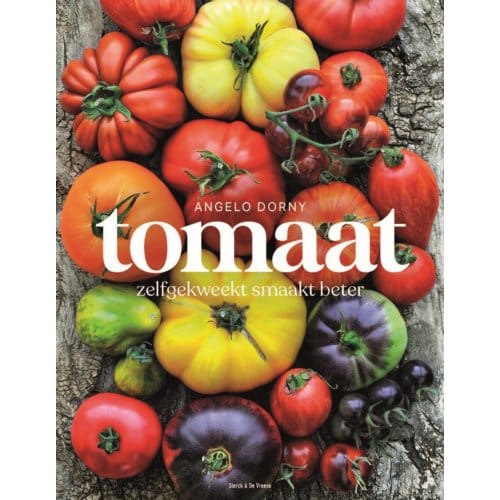 Tomaat - Angelo Dorny