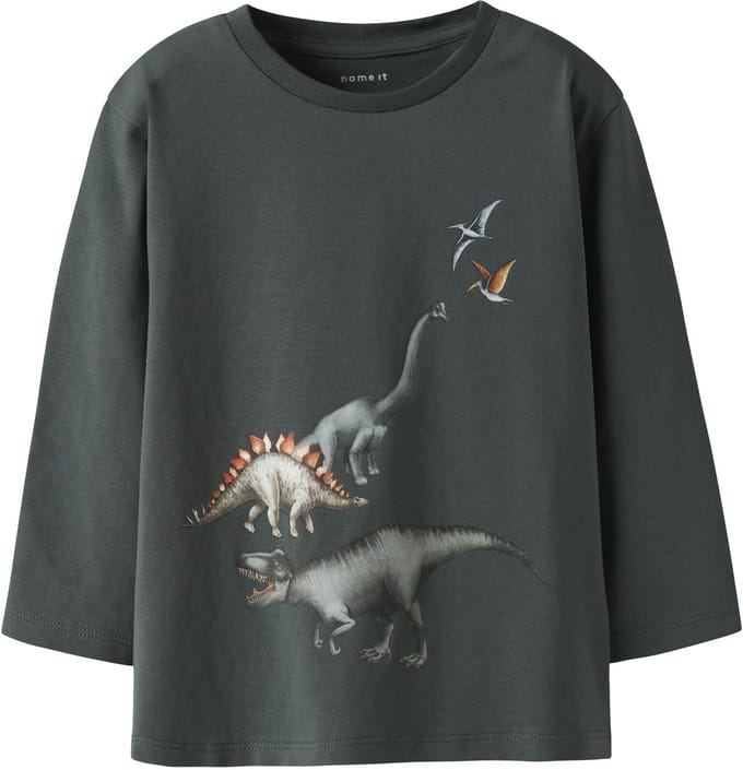 NAME IT - NMMBART LS NREG TOP BOX - Jongens - Lange mouwen shirts