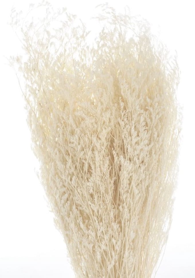 Boeket van gedroogde bloemen Artemio