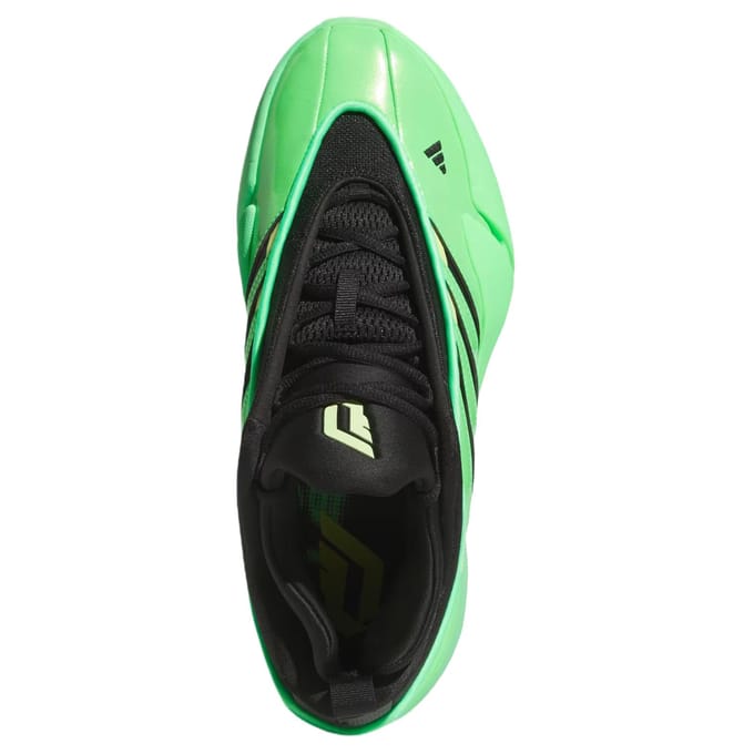 Basketbalschoenen adidas Dame 9