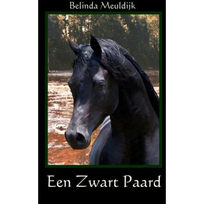 Een Zwart Paard - Belinda Meuldijk