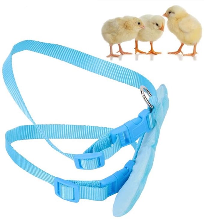 Dailygoods- ganzenharnas verstelbaar - eend/kippen harnas - buiten harnas