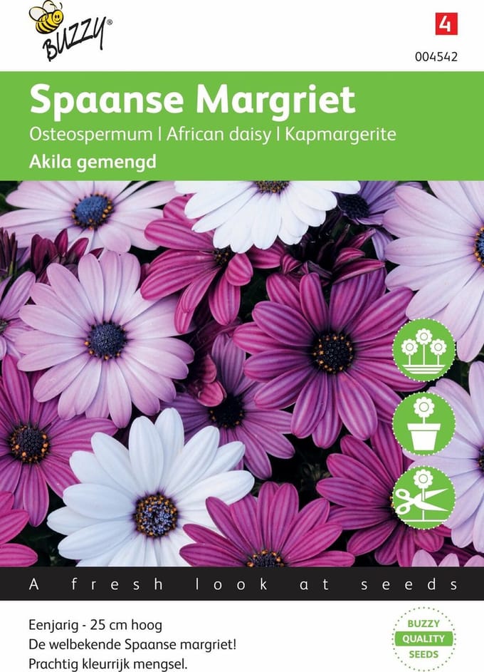 Buzzy® Osteospermum Akila mix Spaanse Margriet