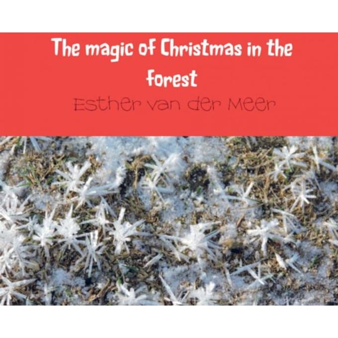 The Magic Of Christmas In The Forest - Esther van der Meer - van der Me