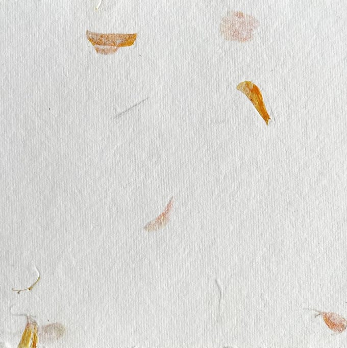 Set van 20 kaarten, Tree Free katoenpapier, A5, met bloemen, schepranden, 250grs