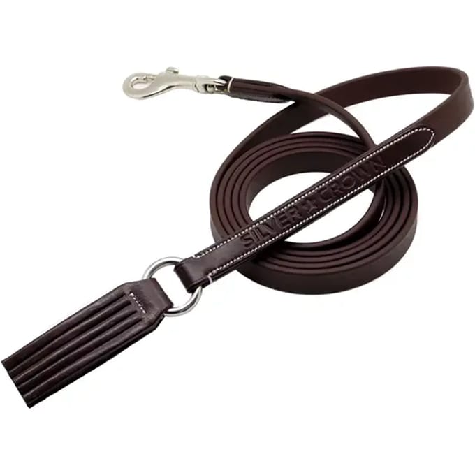 Hondenhalsband Silver Crown Deauville