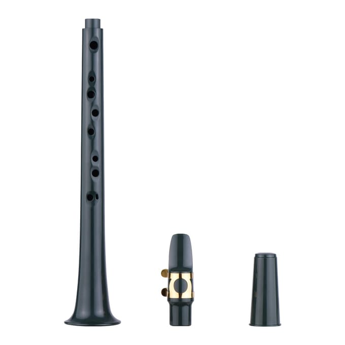 11-holes C Key Mini Pocket Saxofoon ABS met Alto Mondstuk Ligatuur 4 stuks Riet 8 stuks Tandheelkundige Pads black