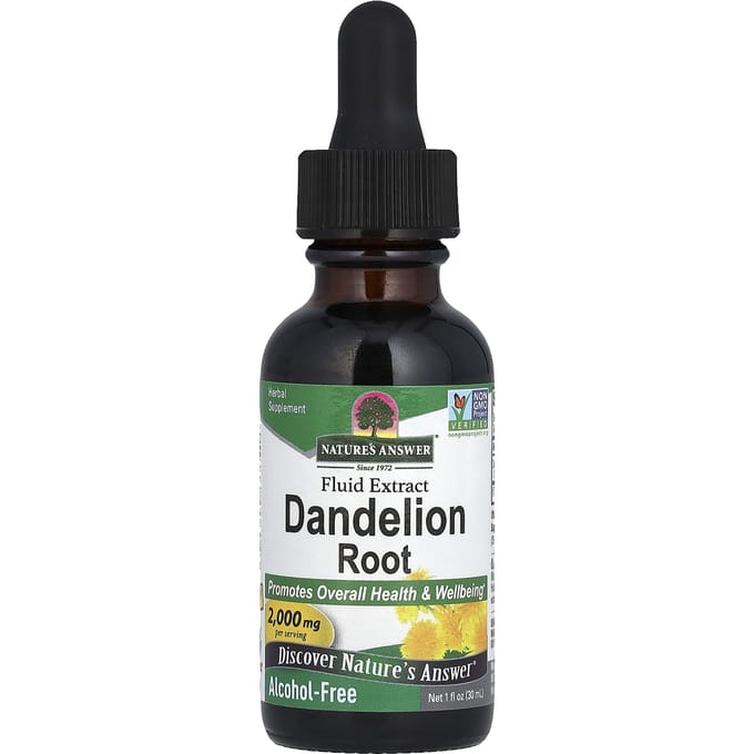 Nature'S Answer, Vloeibaar Extract, Paardenbloemwortel, Alcoholvrij, 2.000Mg, 30Ml(1 fl oz)