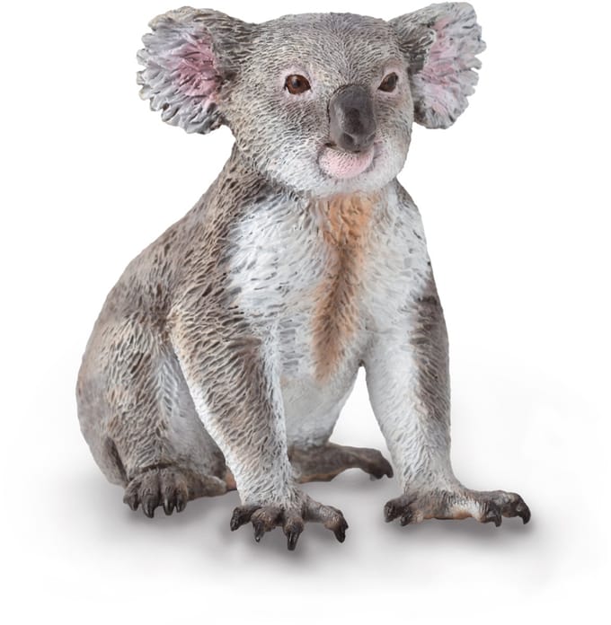 COLLECTA Figurine - Koala - (M) - Wilde Dieren - Handgeschilderd - Miniatuur