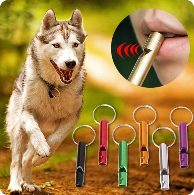 Hondenfluitje | Honden fluit | Sleutelhanger