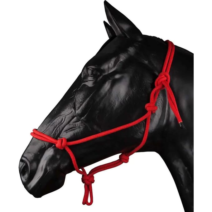 Halster voor paarden Zaldi