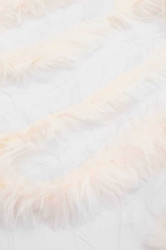 boohoo Dames Witte Nepveren Boa
