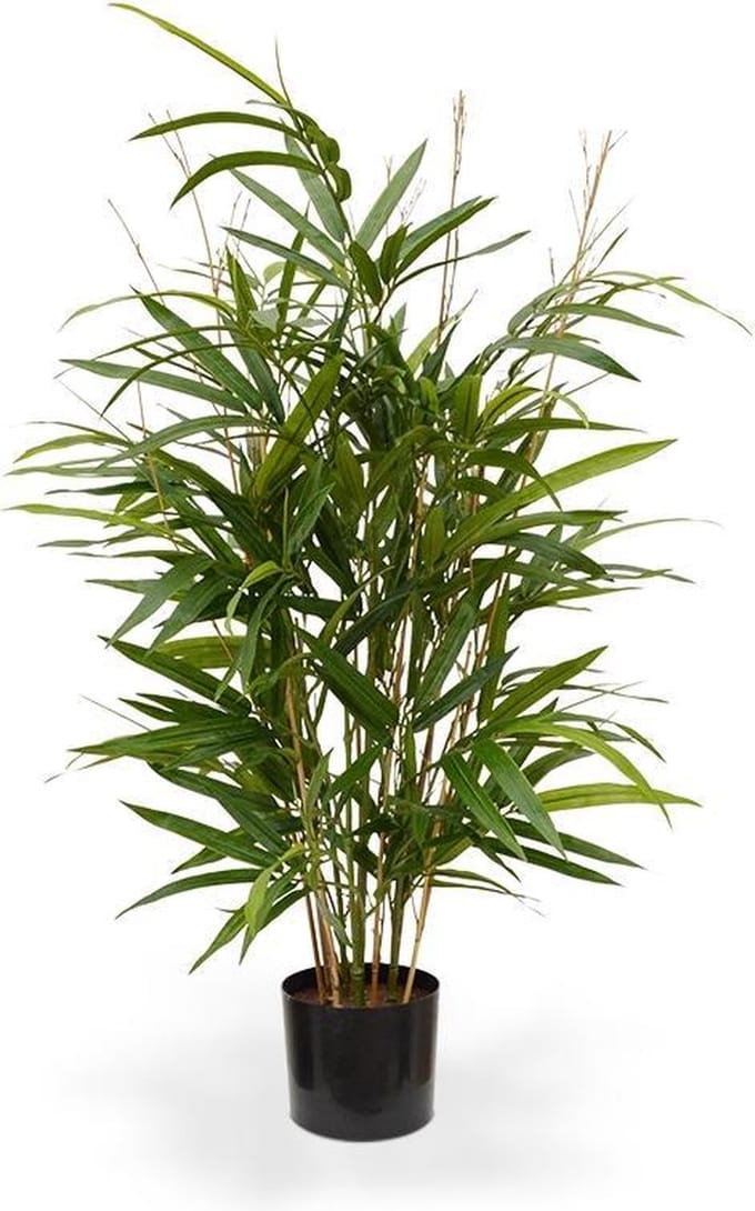 Royal Bamboe kunstplant 70cm - groen