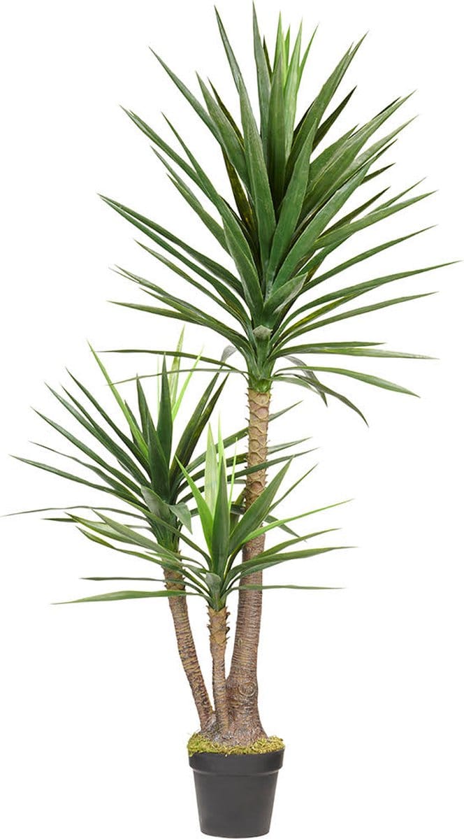 Kunstplant Yucca H160cm - HTT Decorations kunstplanten