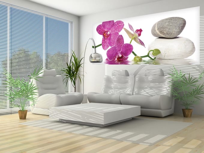 Orchid flowers wallcovering