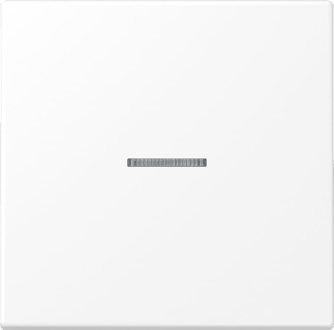 Jung LS RANGE Bedieningselement/Centrale Plaat LS990KO5WWM - E2VZP