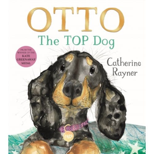 Otto The Top Dog - Catherine Rayner