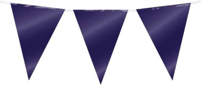 Vlaggenlijn Folie Donkerblauw - 10 meter