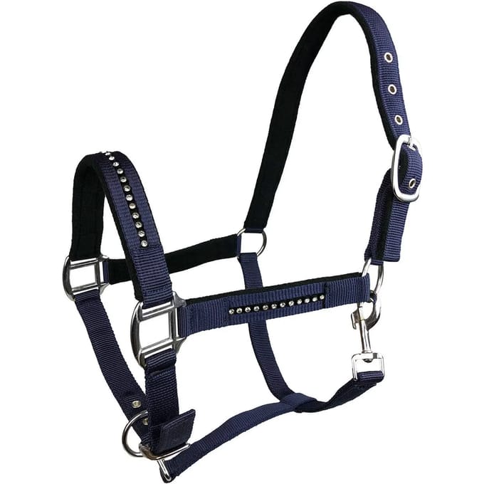 Halster voor paarden York Quartz
